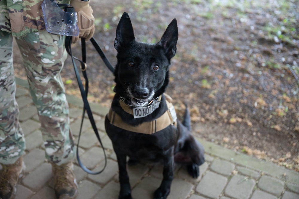 Spangdahlem Air Base Police Week ruck march honors fallen defenders
