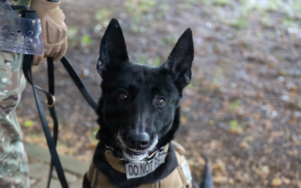 Spangdahlem Air Base Police Week ruck march honors fallen defenders