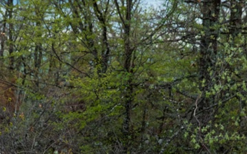 Florida Army National Guardsmen patrol Administrative Boundary Line in Kosovo
