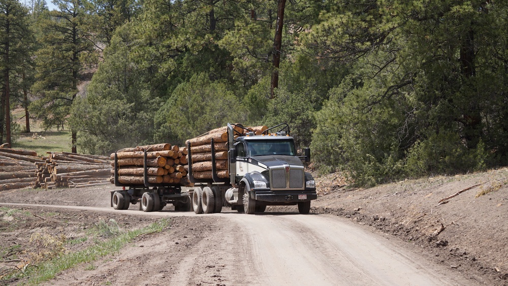 Timber Harvesting and Transport on the Carson National Forest
