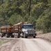 Timber Harvesting and Transport on the Carson National Forest