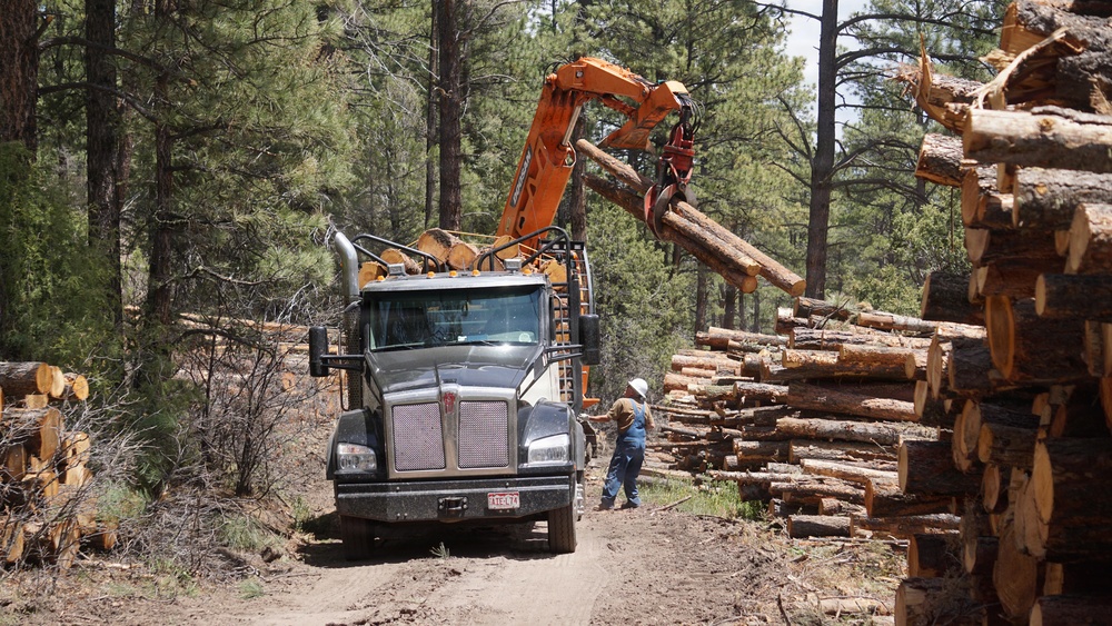 Timber Harvesting and Transport on the Carson National Forest