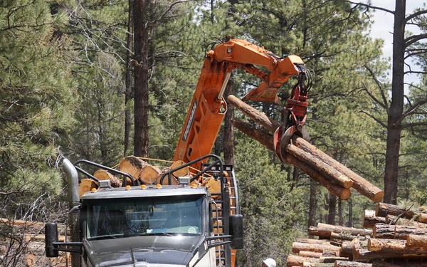 Timber Harvesting and Transport on the Carson National Forest