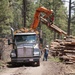 Timber Harvesting and Transport on the Carson National Forest