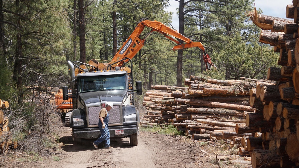Timber Harvesting and Transport on the Carson National Forest