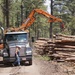 Timber Harvesting and Transport on the Carson National Forest