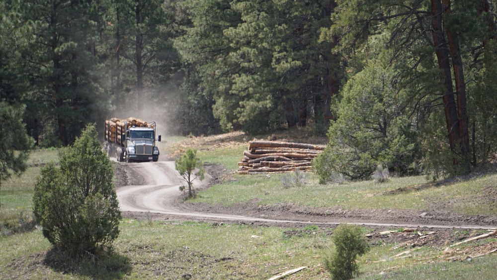 Timber Harvesting and Transport on the Carson National Forest
