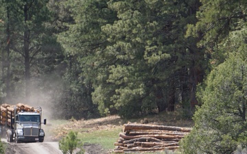 Timber Harvesting and Transport on the Carson National Forest