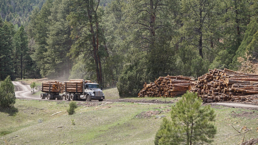Timber Harvesting and Transport on the Carson National Forest