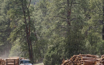 Timber Harvesting and Transport on the Carson National Forest