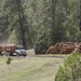 Timber Harvesting and Transport on the Carson National Forest