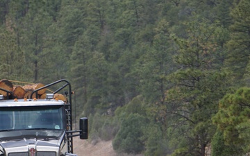 Timber Harvesting and Transport on the Carson National Forest
