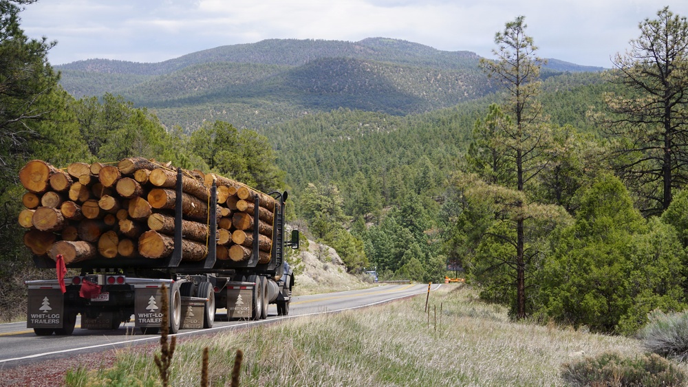 Timber Harvesting and Transport on the Carson National Forest
