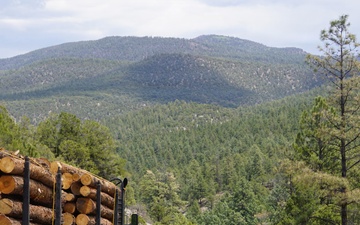 Timber Harvesting and Transport on the Carson National Forest