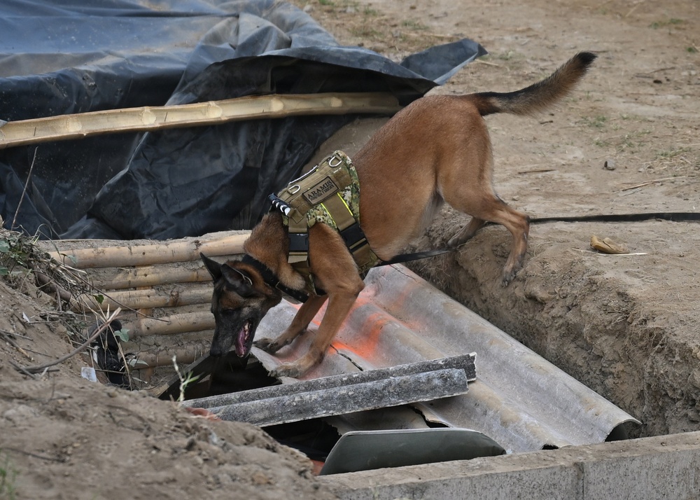 Salvadoran soldiers host HA/DR exercise