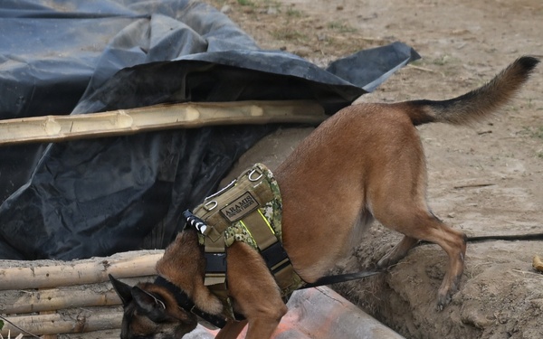 Salvadoran soldiers host HA/DR exercise