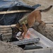 Salvadoran soldiers host HA/DR exercise