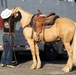 Marines, Motorcycles, and Mustangs: Run for the Wall ride through MCLB Barstow