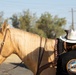 Marines, Motorcycles, and Mustangs: Run for the Wall ride through MCLB Barstow