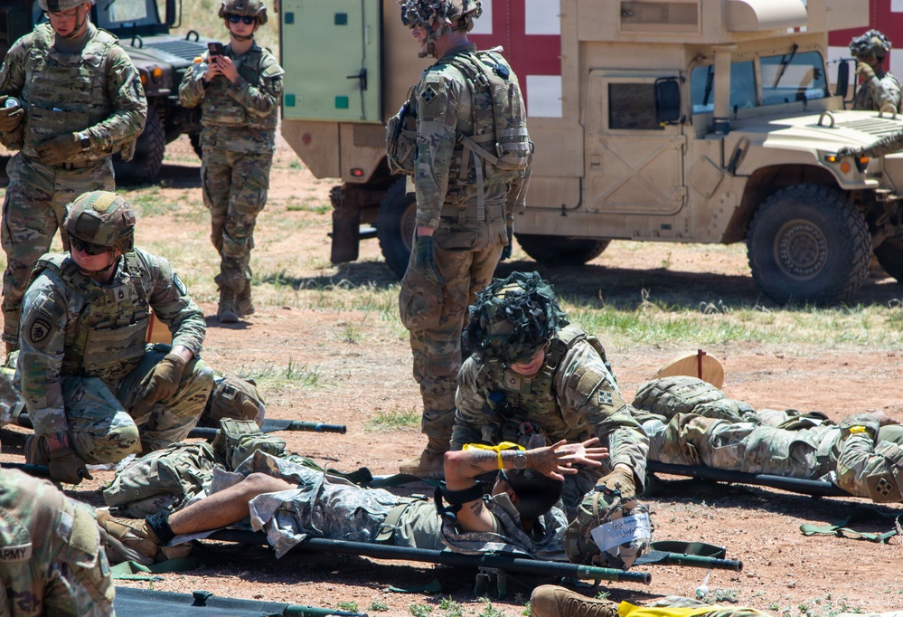Ivy Mass: Simulated Mass Casualty Event