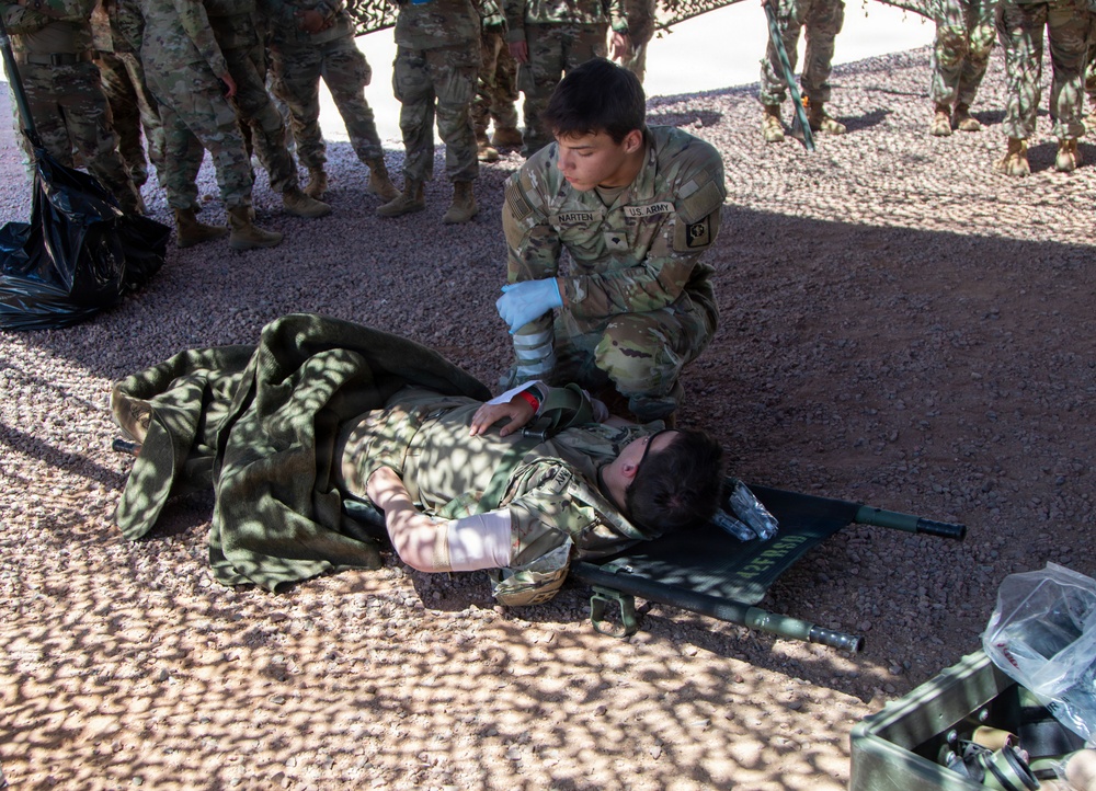 Ivy Mass: Simulated Mass Casualty Event