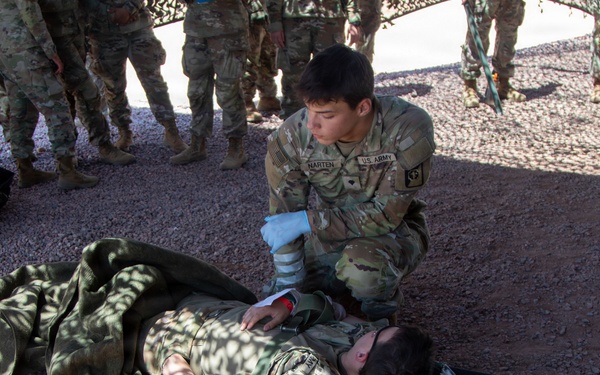 Ivy Mass: Simulated Mass Casualty Event