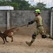 Salvadoran soldiers host HA/DR exercise