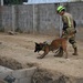 Salvadoran soldiers host HA/DR exercise