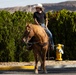 Marines, Motorcycles, and Mustangs: Run for the Wall ride through MCLB Barstow