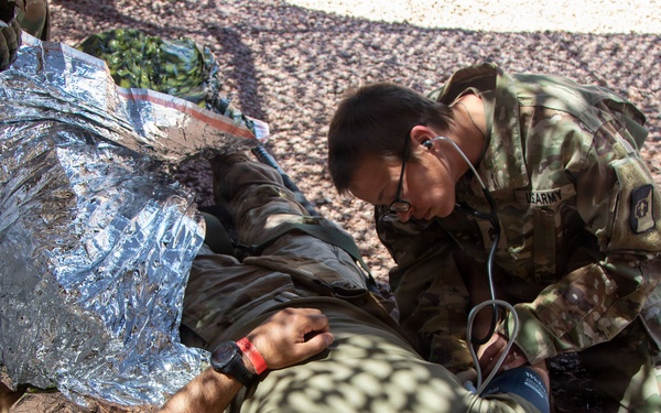 Ivy Mass: Simulated Mass Casualty Event