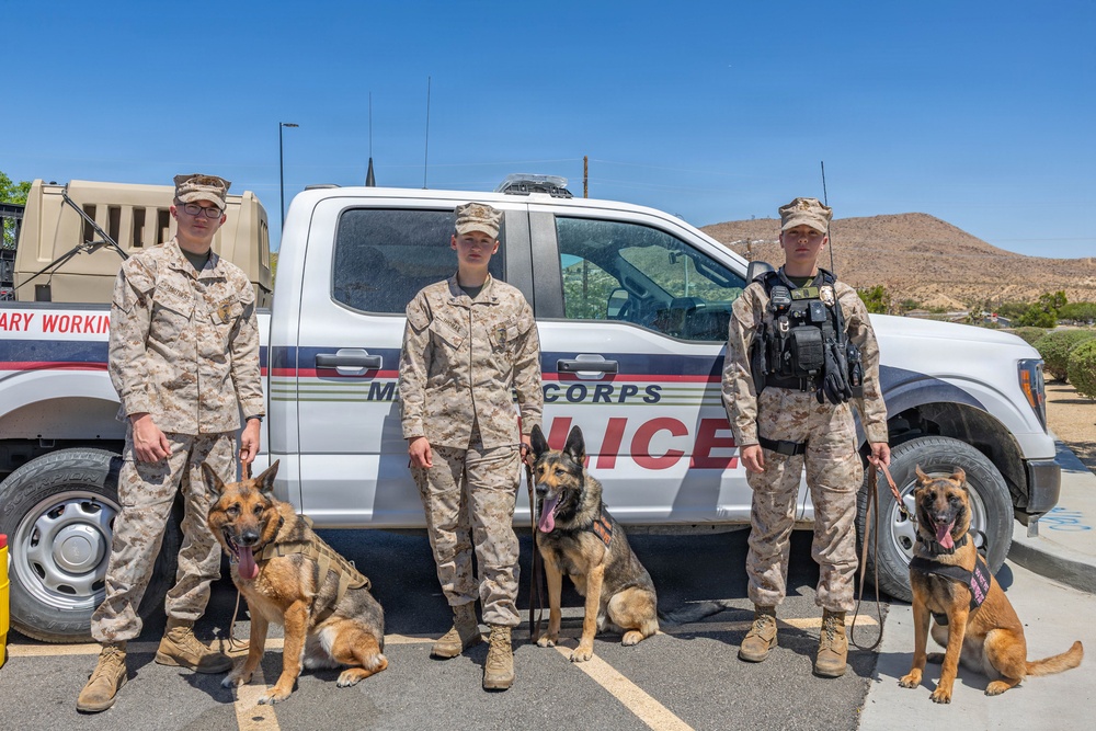 USMC K9 handlers give a demo at the Help Yourself, Help Your Neighbor event