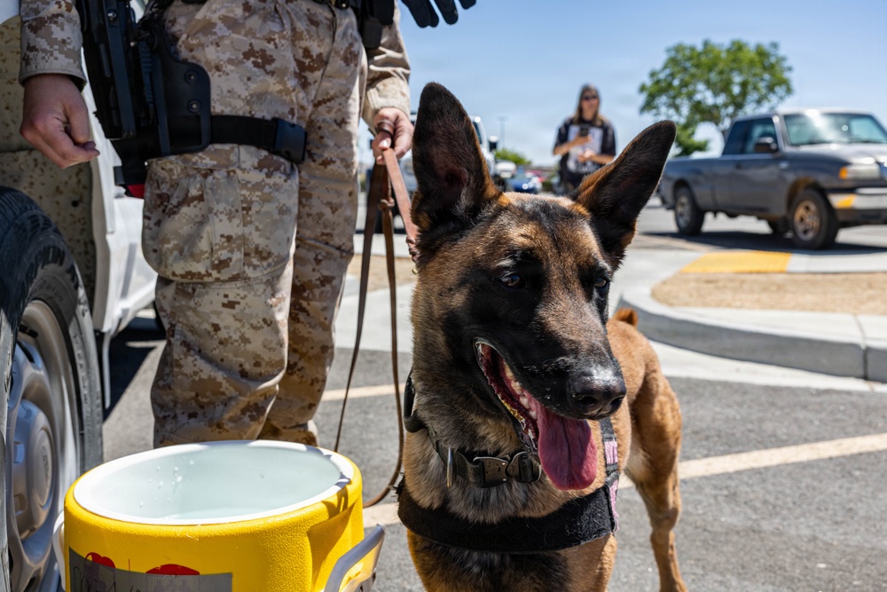 USMC K9 handlers give a demo at the Help Yourself, Help Your Neighbor event