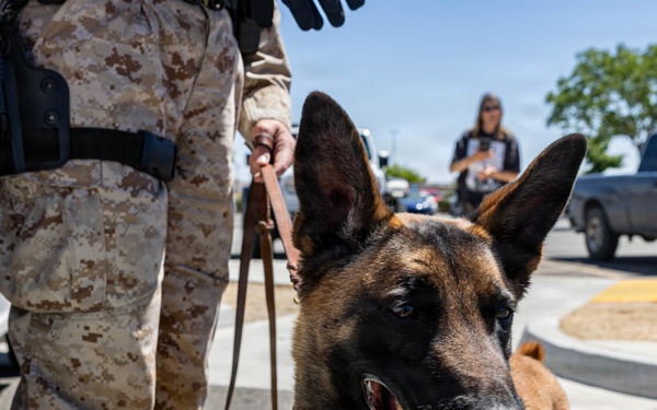 USMC K9 handlers give a demo at the Help Yourself, Help Your Neighbor event