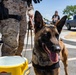 USMC K9 handlers give a demo at the Help Yourself, Help Your Neighbor event