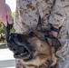 USMC K9 handlers give a demo at the Help Yourself, Help Your Neighbor event