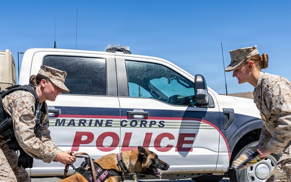 USMC K9 handlers give a demo at the Help Yourself, Help Your Neighbor event