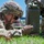AMC Best Warrior Competition 2026