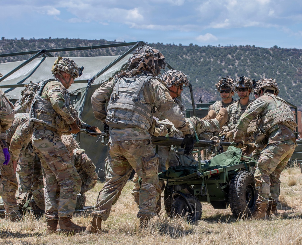 Ivy Mass: Simulated Mass Casualty Event