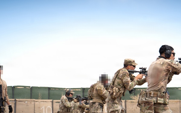 10th SFG(A) and 4ID Conduct Trench LFX