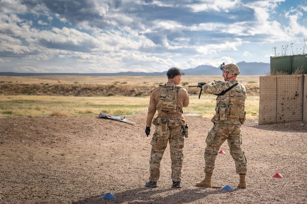 10th SFG(A) and 4ID Conduct Trench LFX