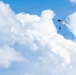 Wings of Blue 2026