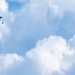 Wings of Blue 2026