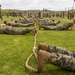 CLR-1 participates in I MEF Tomahawk Total Fitness Challenge