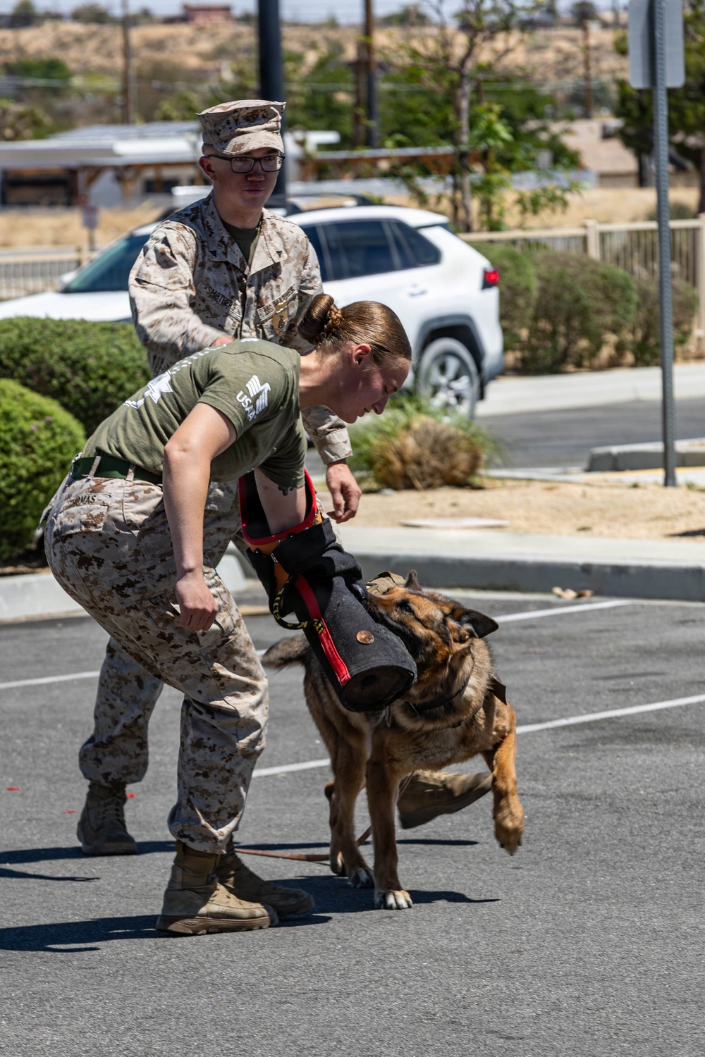 USMC K9 handlers give a demo at the Help Yourself, Help Your Neighbor event