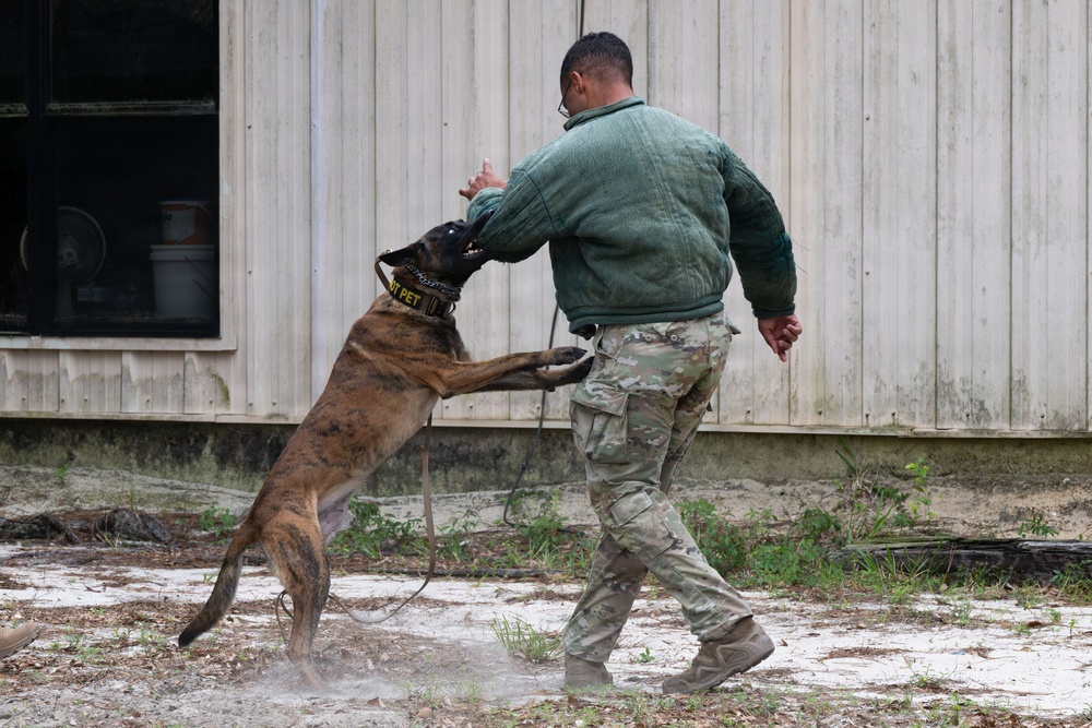 AFSOC showcases capabilities during annual OAY recognition week