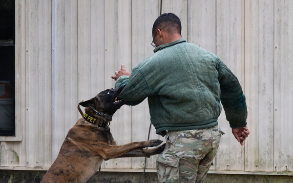 AFSOC showcases capabilities during annual OAY recognition week