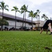 LANPAC 2026: Senior Enlisted Leadership Forum physical readiness training