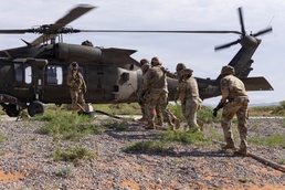 1st AD CAB and DSB conduct combined training exercise