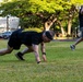 LANPAC 2026: Senior Enlisted Leadership Forum physical readiness training