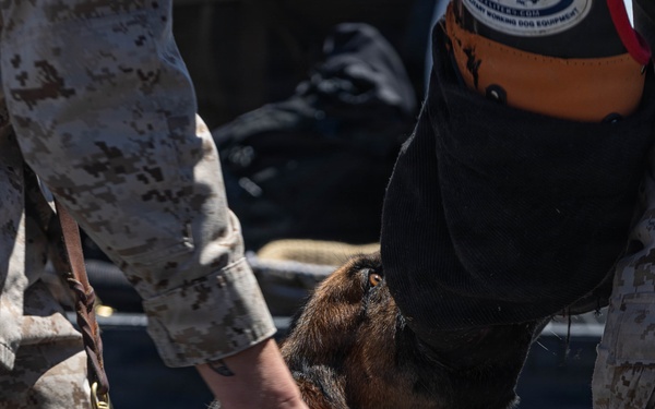 USMC K9 handlers give a demo at the Help Yourself, Help Your Neighbor event